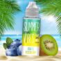 Summer Vibes Kiwi Blueberry